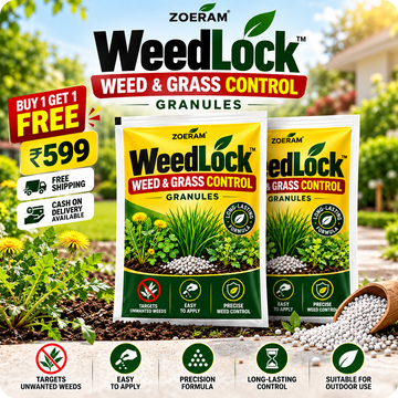 🌿 WeedLock™ — Weed & Grass Control Granules 🚫🌱